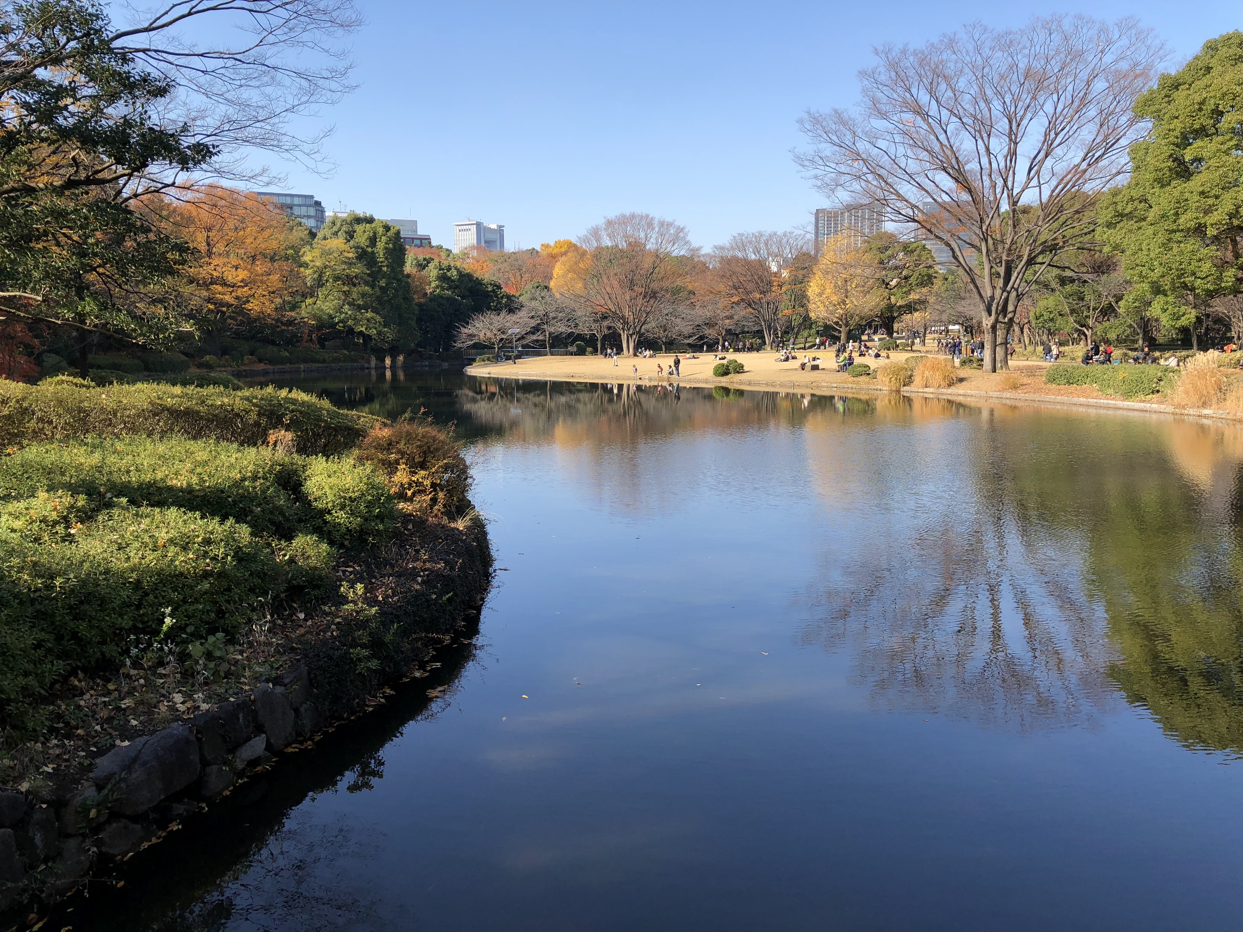 皇居